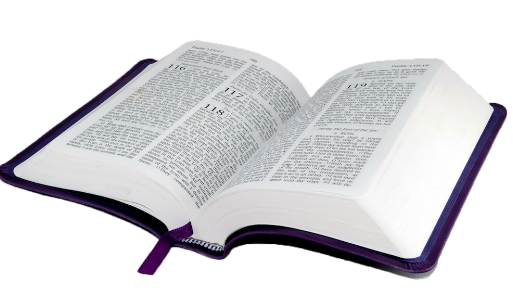 Bible Bible